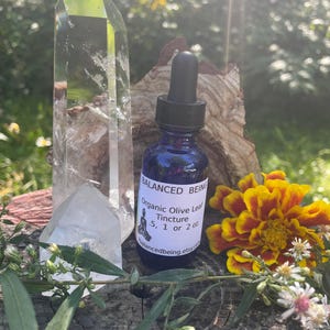 ORGANIC OLIVE LEAF Tincture 1 or 2 oz Glass Bottle with dropper