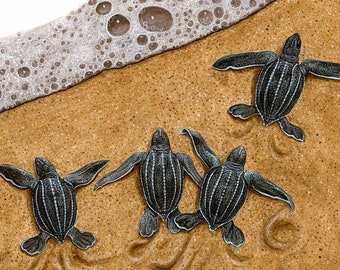 Original Leatherback Sea Turtle Hatchling Illustration from The Book Of Turtles