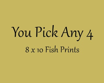 Four 8x10 inch Fish Prints - by Matt Patterson