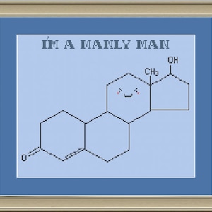 May include: A blue and white cross-stitch design with the text "I'm a Manly Man" and a cartoon depiction of a testosterone molecule with a smiling face.