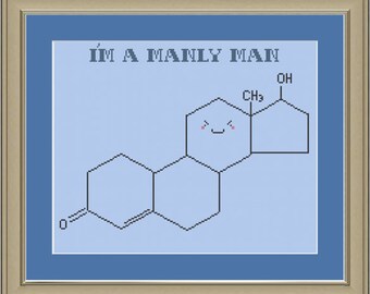 I'm a manly man: testosterone molecule cross-stitch pattern