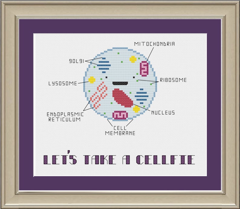 Let's take a cellfie: funny cell biology cross-stitch pattern image 1