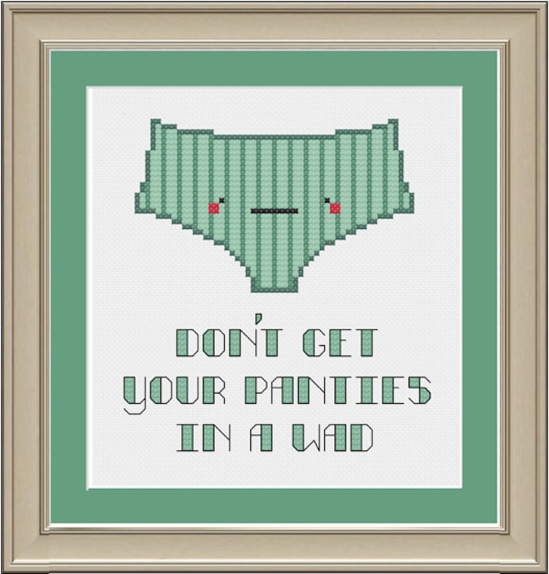 Don't Get Your Panties in a Wad Funny Crossstitch Etsy