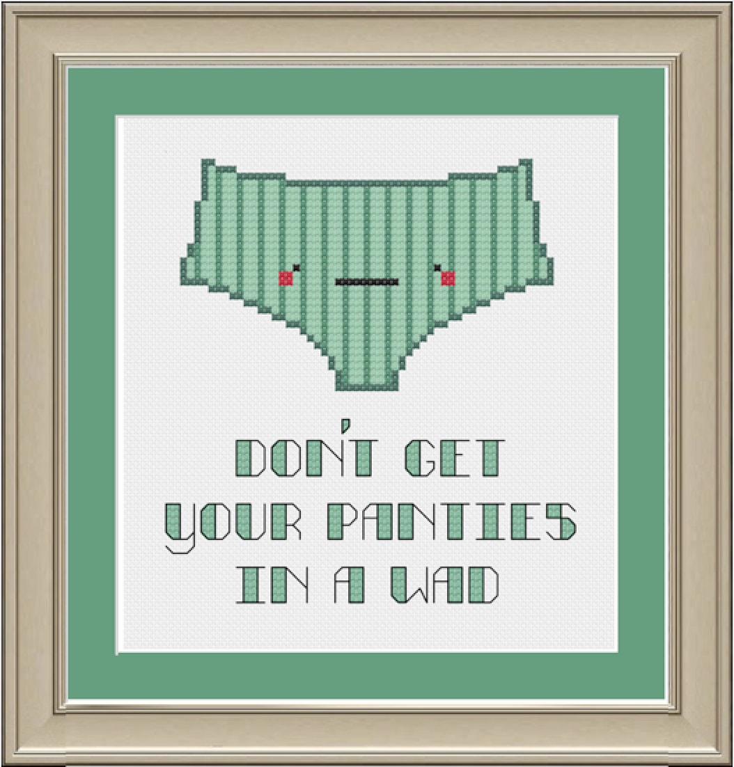 Don't Get Your Panties in a Wad Funny Crossstitch Etsy