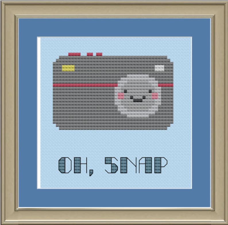 Oh Snap Cute Camera Crossstitch Pattern Etsy