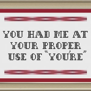 You had me at your proper use of &quot;you&#39;re&quot;: funny grammar cross-stitch pattern