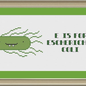 May include: A green cross-stitch design of a cartoon bacteria with a smiling face and the text "E is for Escherichia coli".