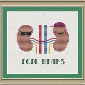 May include: Cross-stitch pattern featuring two cartoon kidneys with smiling faces. One kidney is wearing sunglasses and the other has a purple baseball cap. The text "COOL BEANS" is below the kidneys.