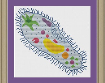 Paramecium: nerdy cell biology cross-stitch pattern