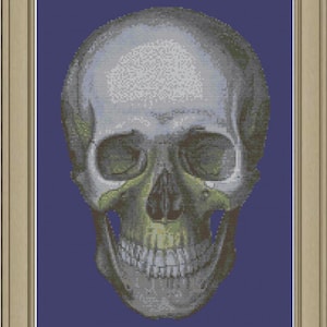 Human skull: cool anatomy cross-stitch pattern