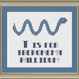 May include: A blue snake with a smiling face, a cross-stitch pattern with the text "T is for Treponema Pallidum".