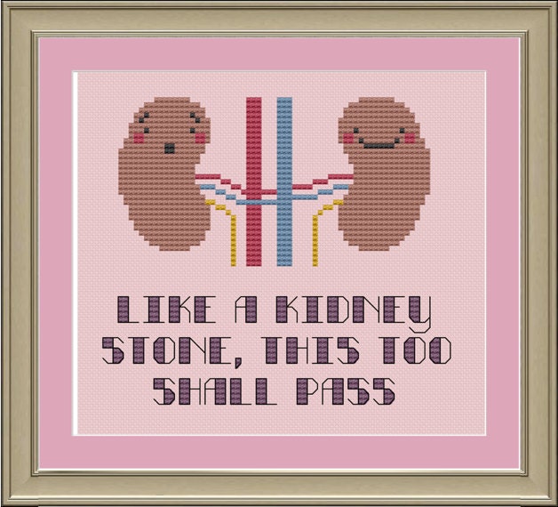 Like a Kidney Stone This Too Shall Pass: Funny Cross-stitch - Etsy Like a Kidney Stone This Too Shall Pass: Funny Cross-stitch - Etsy
