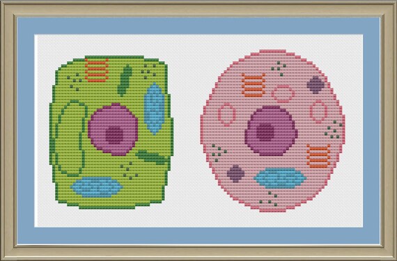 Plant and animal cell: nerdy cell biology cross-stitch pattern