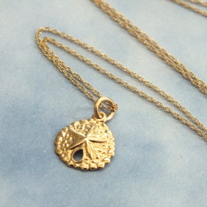 14k Gold Sand Dollar Necklace 14k Gold Necklace Minimalist - Etsy