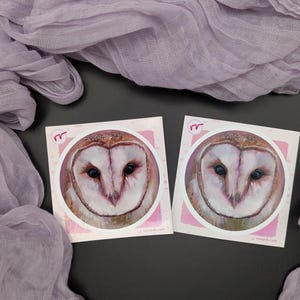Eulen Aufkleber - Illustrativer Sticker für Geschenke, Scrapbooking, Karten und zum Basteln