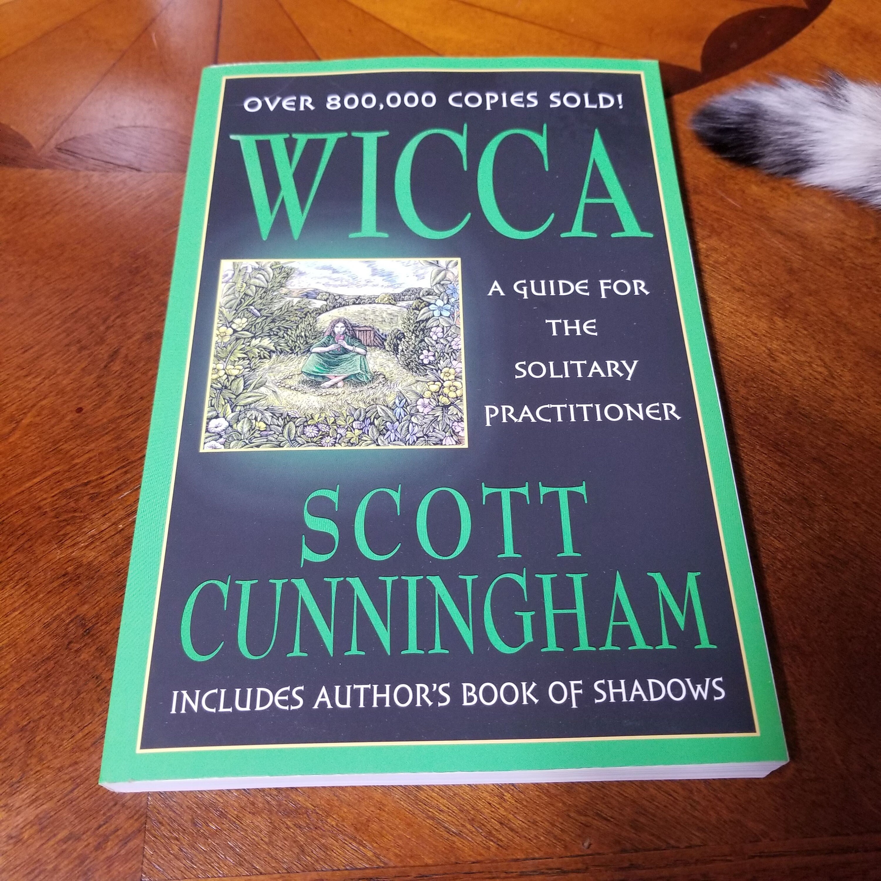 Wicca, A Guide for the Solitary Practitioner Scott Cunningham