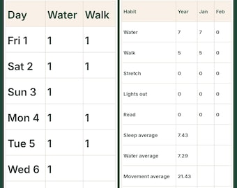 2027 Habit and Wellness Dashboard | Printable and Workbook