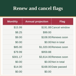 Subscription and Recurring Bills Tracker Spreadsheet with Renewal Dates image 4