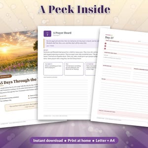 May include: Three pages from a devotional journal titled 365 Days Through the Bible. The pages feature a sunrise landscape, a daily reading titled A Prayer Heard, and a structured template for Day 27 with lines for gratitude and prayer.