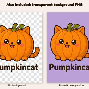 Op de afbeelding: Een digitale illustratie van een ronde oranje pompoen in de vorm van een kat met een groene steel, kleine oortjes, een staart en een lachend gezicht. Onder het figuur staat de tekst Pumpkincat in een vetgedrukt, donkerbruin lettertype.