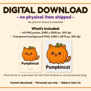 Op de afbeelding: Digitale download met een cartoon oranje pompoenkat met een groene steel en staart. De tekst bevat 'DIGITAL DOWNLOAD', 'no physical item shipped', 'What's included:', 'A4 PNG poster', 'Transparent background PNG' en 'Pumpkincat'.