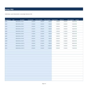 Peut inclure: Un tableau de suivi des achats professionnels intitul&eacute; Achats PRO, pr&eacute;sentant des colonnes pour l'ID d'engagement, la date, la description, le montant de la commande, la facture, le paiement cumul&eacute;, l'engagement et le solde.