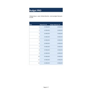 Excel PRO Business Dashboard: Sales, Expenses, and Cash Receipts | French Template image 3