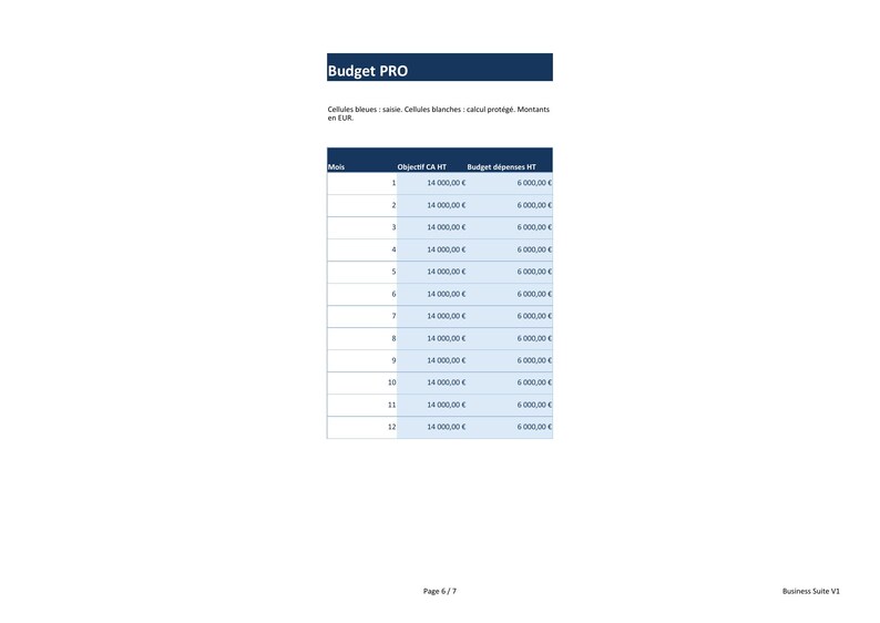 Excel PRO Business Dashboard: Sales, Expenses, and Cash Receipts | French Template image 3