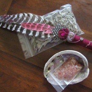 Small Two Birds Feather Smudge Fan set with sage Abalony Shell