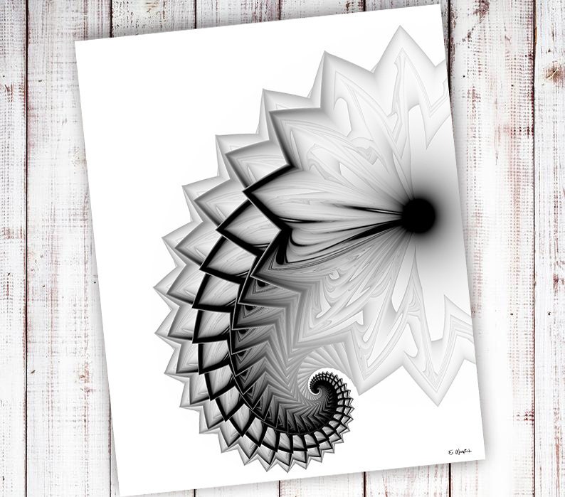 Mechanical Tail, Black and White Abstract Art Print, Fine Art, Abstract ...