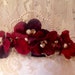 see more listings in the Tiaras Crowns Hats section