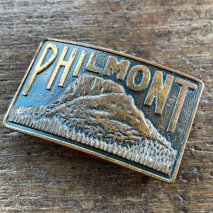 Philmont raised Mountain design New Mexico brass colored belt buckle
