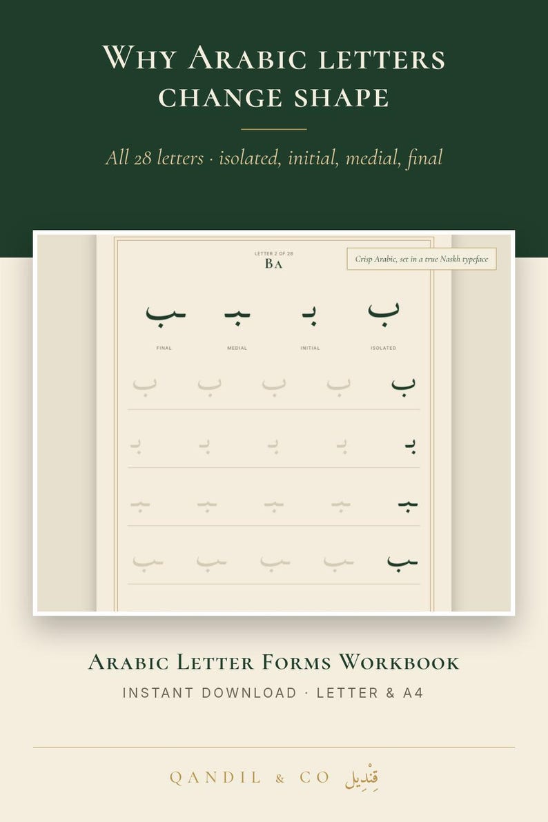 Puede incluir: Una p&aacute;gina de libro de ejercicios titulada Why Arabic Letters Change Shape, con una cuadr&iacute;cula de la letra &aacute;rabe Ba en sus formas final, medial, inicial y aislada. El documento est&aacute; impreso en tinta verde oscuro sobre fondo crema.