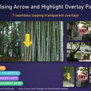 Pulsing Arrow Highlight Overlay: 7 Transparent Callout Pointer Loops for CapCut and Reels, 16x9 + 9x16
