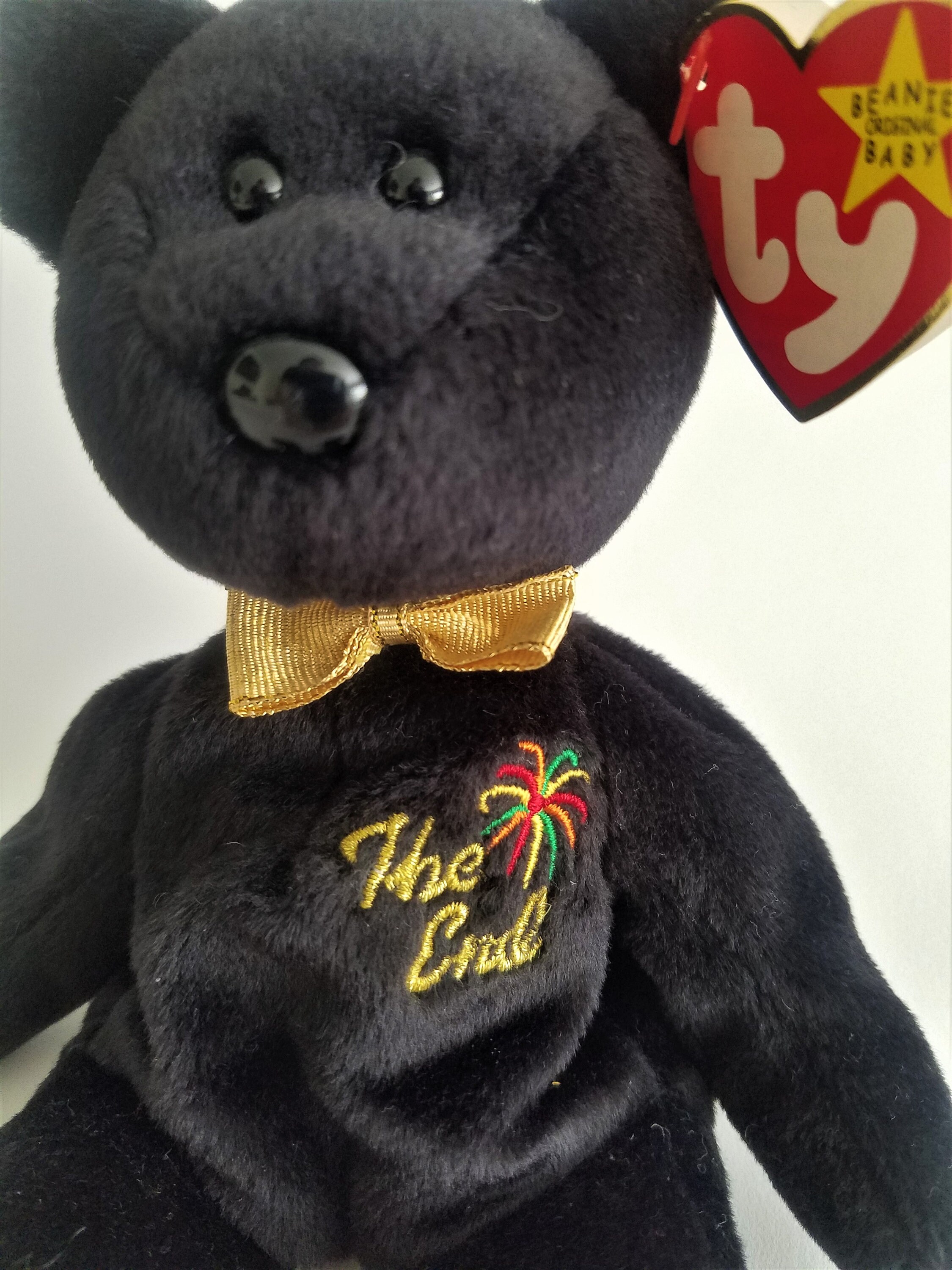 My baby sam 2025 little black bear