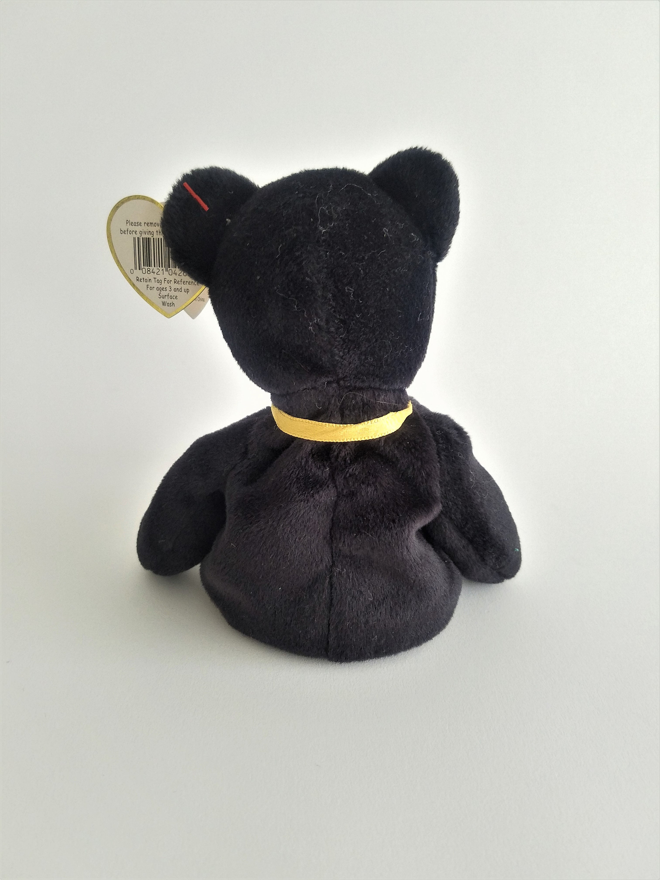 My baby sam 2025 little black bear