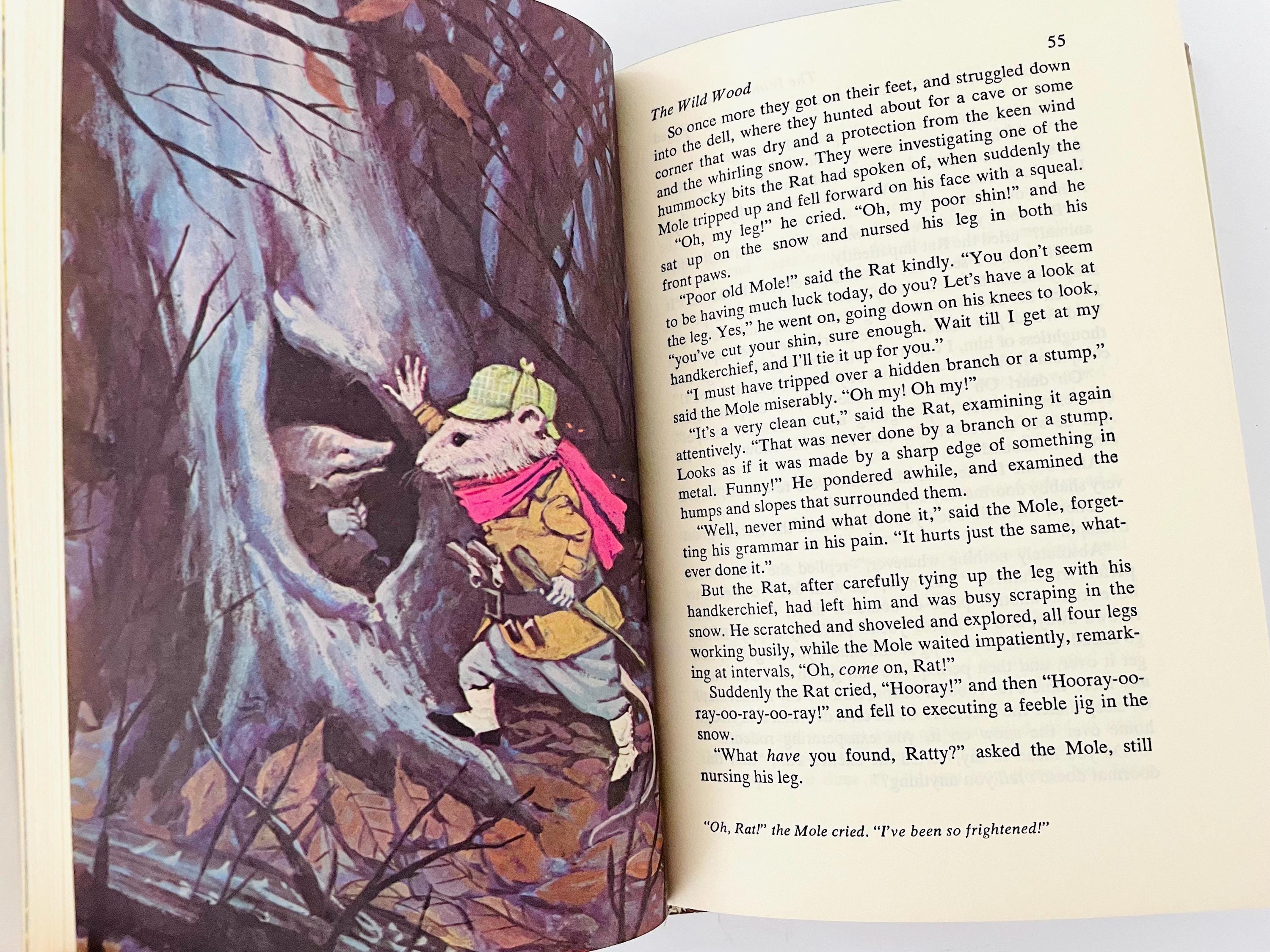 The Wind in the Willows Book 1972, Children's Book, by Kenneth Grahame ...