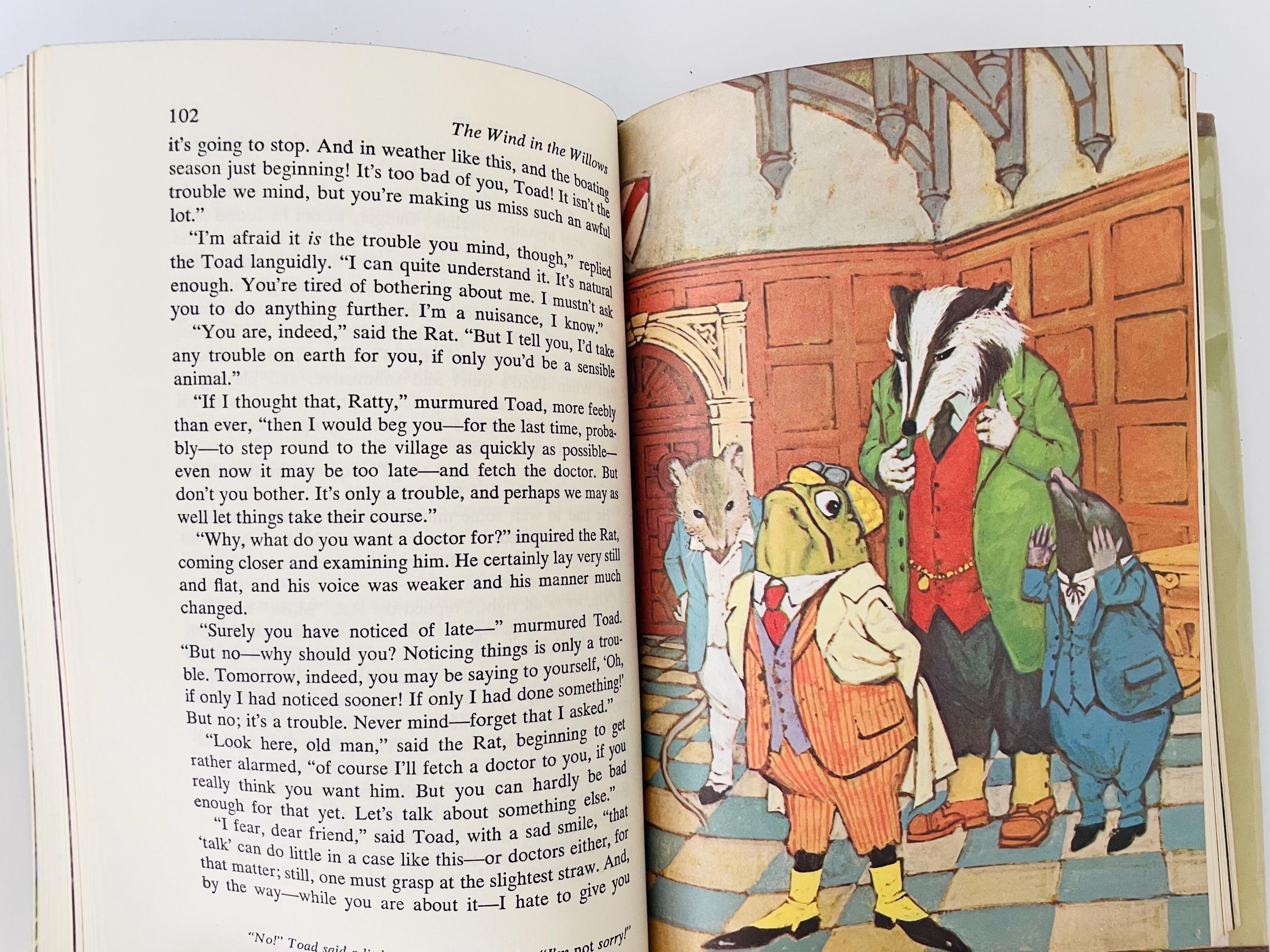 The Wind in the Willows Book 1972, Children's Book, by Kenneth Grahame ...
