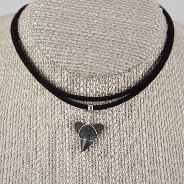 Bull Shark Tooth Vegan Black Suede Choker Necklace