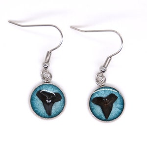 Tiny Shark Teeth in Resin Drop Earrings