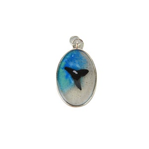 Lemon Shark Tooth Pendant Necklace