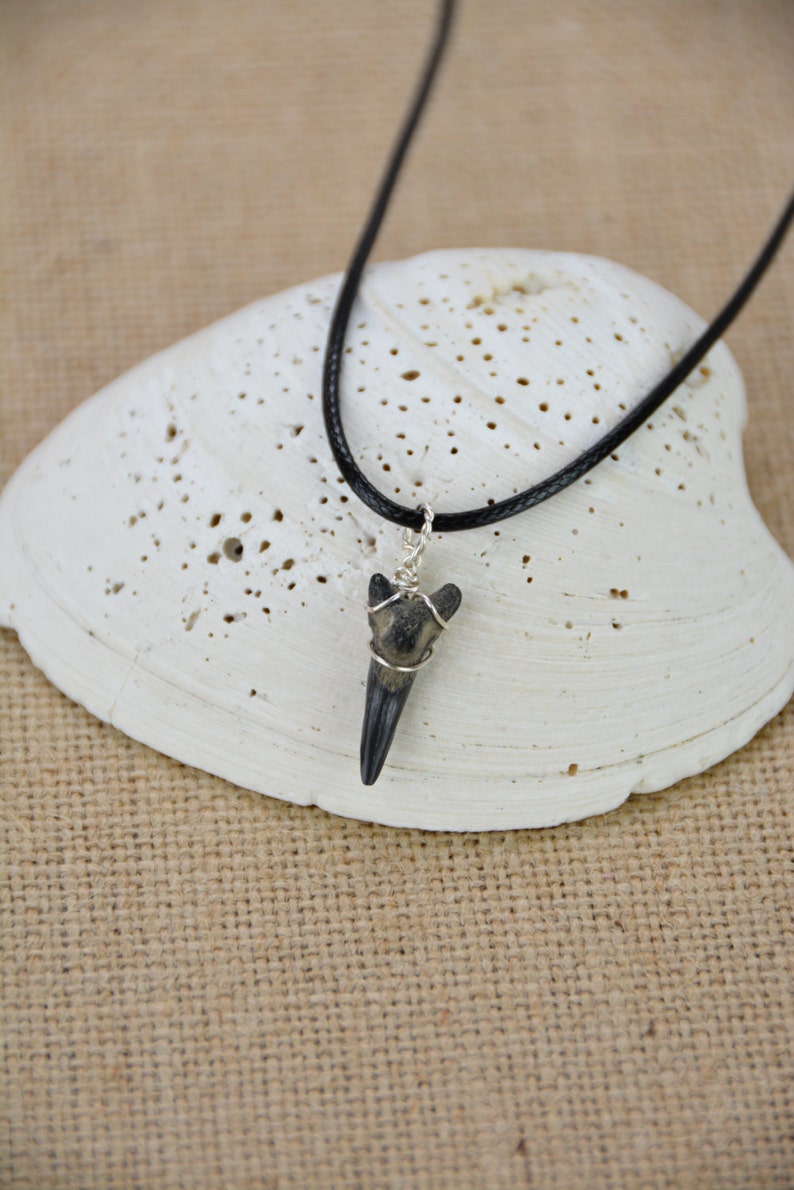 Fossilized Shark Tooth Necklace | Etsy