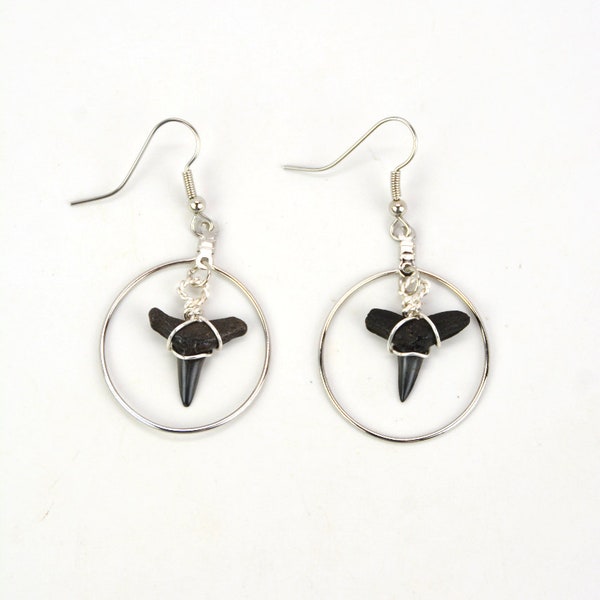 Shark Tooth Huggie Earrings – Gold Filled Coastal Jewelry | Beachy Surf Style Earrings | Tanline Designs Capitola