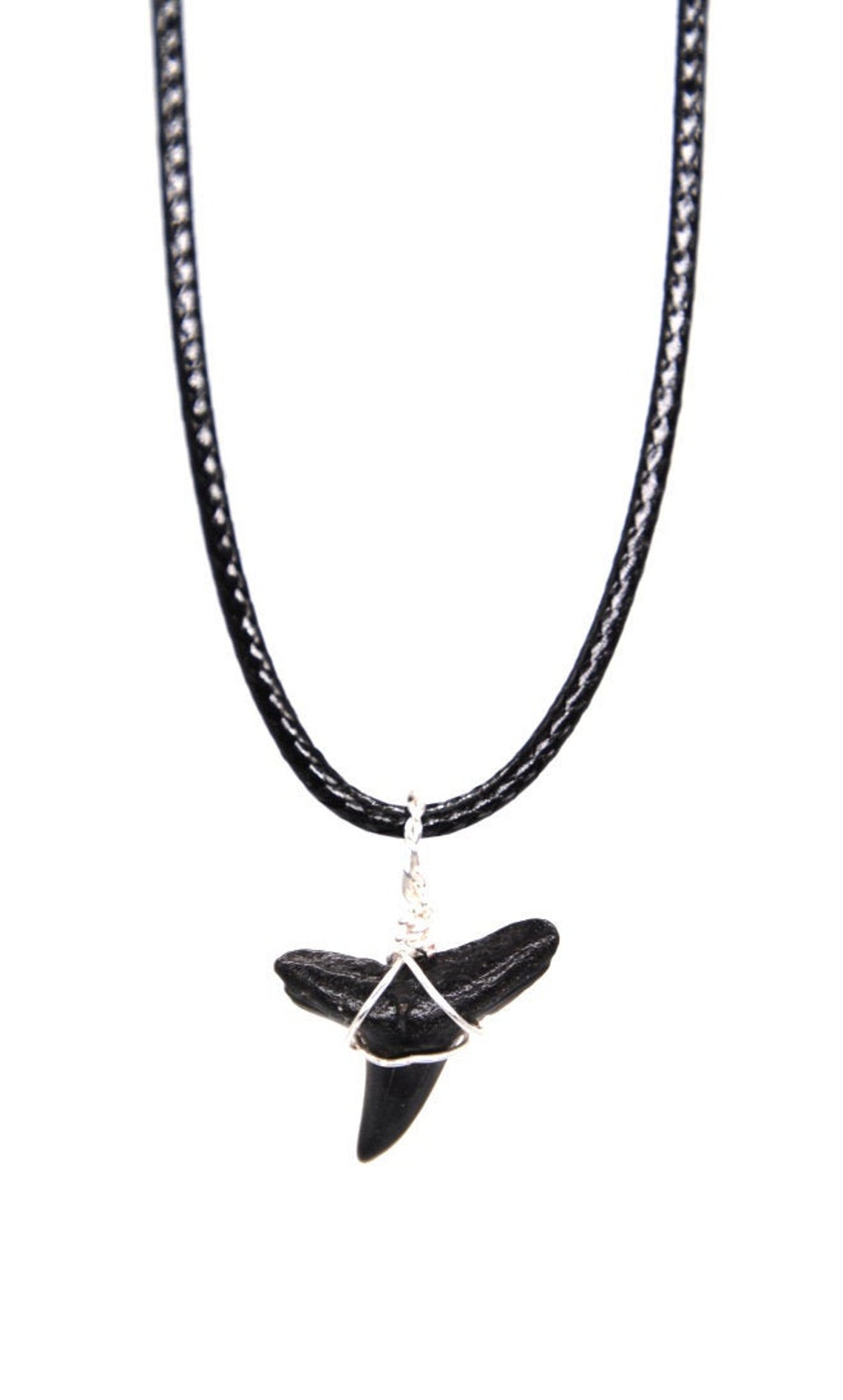 Fossilized Shark Tooth Necklace | Etsy