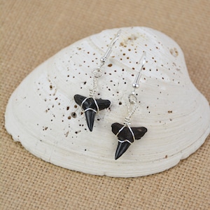 Lemon Shark Tooth Earrings