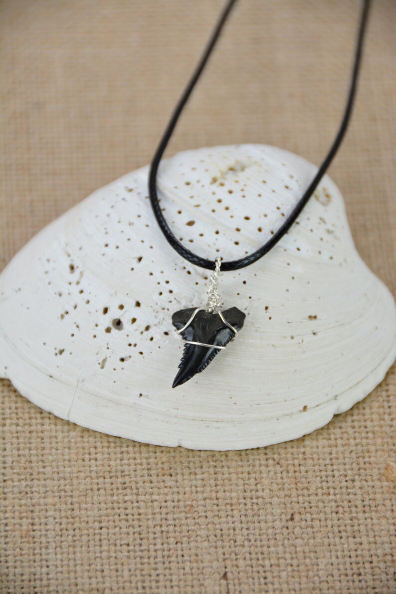 Fossilized Shark Tooth Necklace | Etsy
