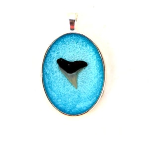 Bull Shark Tooth in Resin Pendant Necklace