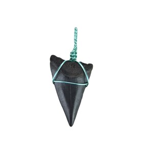 Mako Shark Tooth Pendant Necklace