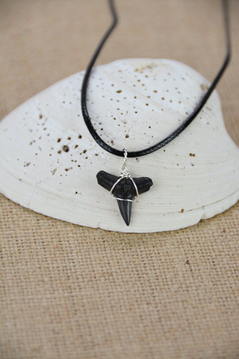 Fossilized Shark Tooth Necklace | Etsy