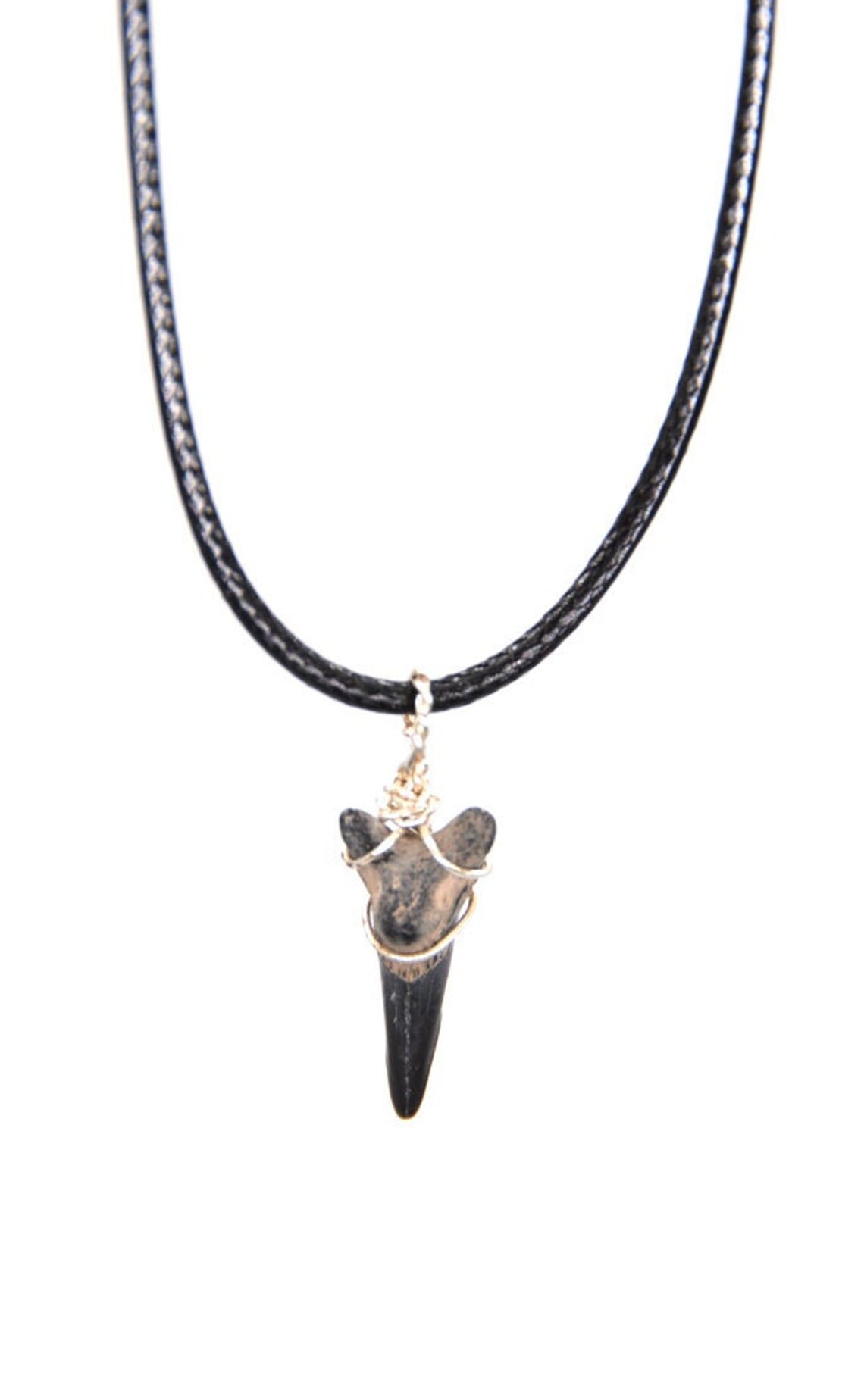 Fossilized Shark Tooth Necklace | Etsy